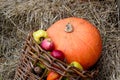 Autumn composition of apples, straw and pumpkin.