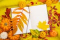 Autumn composition background horizontal knitted with workspace planner blank notebook, beautiful red yellow golden leaves. Top