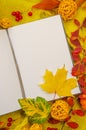 Autumn composition background knitted with vertical workspace planner blank notebook, beautiful red yellow golden leaves. Top view