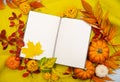 Autumn composition background knitted with workspace planner blank notebook, beautiful red yellow golden leaves. Top view, flat
