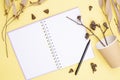 Autumn composition. Blank notebook with spring and pen, autumn leaves, cypress seeds, paper eco glass on a yellow Royalty Free Stock Photo