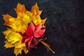 Autumn composition. Bouquet of bright colorful autumn leaves on a black background. Autumn cocept. Copy space