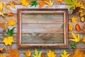 Bright autumn leaves and picture frame on wooden background with copy space. mock up for text, congratulations, phrases, lettering