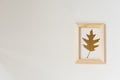 Autumn composition: brown oak fallen autumn leaf in a wooden frame on a beige background. Minimalistic flat lay