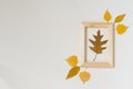 Autumn composition: brown oak fallen autumn leaf in a wooden frame with yellow leaves around on a beige background Royalty Free Stock Photo