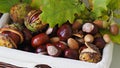 Autumn composition - chestnuts, acorns and oak leaves in a wicker basket. Royalty Free Stock Photo