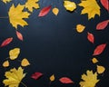 Autumn composition with color leaves ornament on balck slate board with copy space. bright maple foliage season autumn text retro