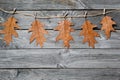 Autumn composition. Colorful golden oak leaves hanging on rope with clothespins in composition on wood background Royalty Free Stock Photo