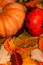 Autumn composition. Colorful autumn leaves and ripe pumpkins. Creative autumn thanksgiving, fall, halloween concept