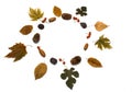Autumn composition. Colorful autumn leaves on a white background