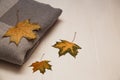 Autumn composition. colorful leaves on white wooden rustic background and elegant gray scarf. Autumn concept