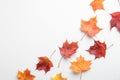 Autumn composition. Colorful maple leaves on white background. Flat lay, top view. Autumn, fall concept Royalty Free Stock Photo