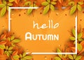 Autumn composition. Concept Hello fall. Creative Top view Flat lay