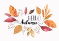 Autumn composition. Concept Hello fall. Creative Top view Flat lay. Creative Top view Flat lay. Autumn Background with falling