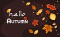 Autumn composition. Concept Hello fall. Creative Top view Flat lay