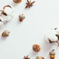 Autumn composition. Cotton, pine cones,, acorns on white background. Autumn, fall, thanksgiving day concept. Flat lay, top view,