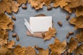 Autumn composition. Craft envelope. card mockup with autumn marple leaves. Flat lay, top view, copy space