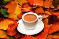 Autumn composition. Cup of coffee on colorful autumn leaves. Creative autumn thanksgiving, fall, halloween concept