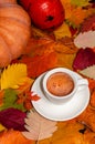 Autumn composition. Cup of coffee, multicolored autumn leaves and pumpkins. Creative autumn thanksgiving, fall concept