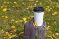 Autumn composition. Cup of coffee on a stump in the park. Coffee to go among fall leaves. Fall picnic consept