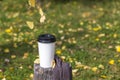 Autumn composition. Cup of coffee on a stump in the park. Coffee to go among fall leaves. Fall picnic consept