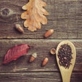 Autumn composition. Cup of tea, autumn leaves and acorns autumn tea party.