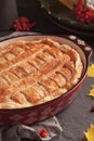 . Fresh homemade Apple pie with cinnamon Royalty Free Stock Photo