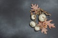 Autumn composition on dark stone background. Decorative pumpkin, acorns, berries and nuts Royalty Free Stock Photo