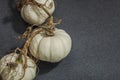 Autumn composition on dark stone background. Decorative pumpkin Baby Boo sort Royalty Free Stock Photo