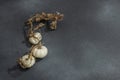 Autumn composition on dark stone background. Decorative pumpkin Baby Boo sort Royalty Free Stock Photo