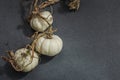 Autumn composition on dark stone background. Decorative pumpkin Baby Boo sort Royalty Free Stock Photo