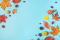 Autumn composition. Dried leaves, flowers, berries, nuts on blue background. Autumn, fall, thanksgiving day concept
