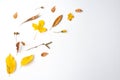 Autumn composition. Dried leaves, flowers, berries on white background. Autumn, fall, thanksgiving day concept. Royalty Free Stock Photo