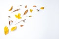 Autumn composition. Dried leaves, flowers, berries on white background. Autumn, fall, thanksgiving day concept. Royalty Free Stock Photo