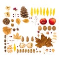 Autumn composition. Dried leaves, flowers, walnuts, pine cones on white background. Thanksgiving day concept with copy space. Flat Royalty Free Stock Photo