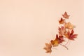 Autumn composition. Dried leaves on pastel biege background. Top view. Flat lay.