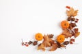 Autumn composition. Dried leaves and pompkins on white background. Top view. Flat lay.