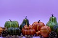 Autumn composition. Dried leaves, pumpkins, flowers, rowan berries on light purple background. Autumn, fall, halloween, Royalty Free Stock Photo