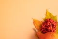 Autumn composition. Dried leaves, pumpkins and rowan berries on orange background. Autumn, fall, thanksgiving day Royalty Free Stock Photo