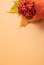 Autumn composition. Dried leaves, pumpkins and rowan berries on orange background. Autumn, fall, thanksgiving day Royalty Free Stock Photo