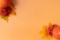 Autumn composition. Dried leaves, pumpkins and rowan berries on orange background. Autumn, fall, thanksgiving day Royalty Free Stock Photo
