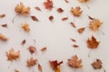 Autumn composition. Dried leaves on white background. Top view. Flat lay.