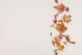 Autumn composition. Dried leaves on white background. Top view. Flat lay.