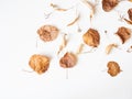 Autumn composition. Dried linden leaves and flowers on a white background. Autumn, fall, Thanksgiving day concept. Flat lay, top Royalty Free Stock Photo