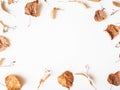 Autumn composition. Dried linden leaves and flowers on a white background. Autumn, fall, Thanksgiving day concept. Flat lay, top Royalty Free Stock Photo