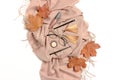 Autumn composition with dry maple leaves, brown scarf, glasses, women`s cosmetics and accessories Royalty Free Stock Photo