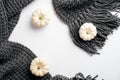 Autumn composition. Feminine desk table with knitted scarf and pumpkins on white background. Flat lay, top view. Nordic, hygge, Royalty Free Stock Photo