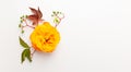 Autumn composition with flowers, leaves and berries on white background. Flat lay, copy space Royalty Free Stock Photo