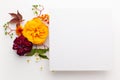 Autumn composition with flowers, leaves and berries on white background. Flat lay, copy space Royalty Free Stock Photo
