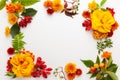 Autumn composition with flowers, leaves and berries on white background. Flat lay, copy space Royalty Free Stock Photo